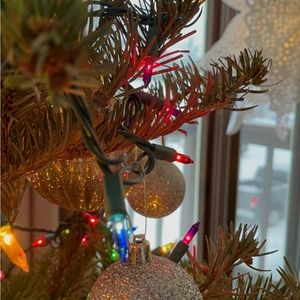 Meet your Posher, Suwanee